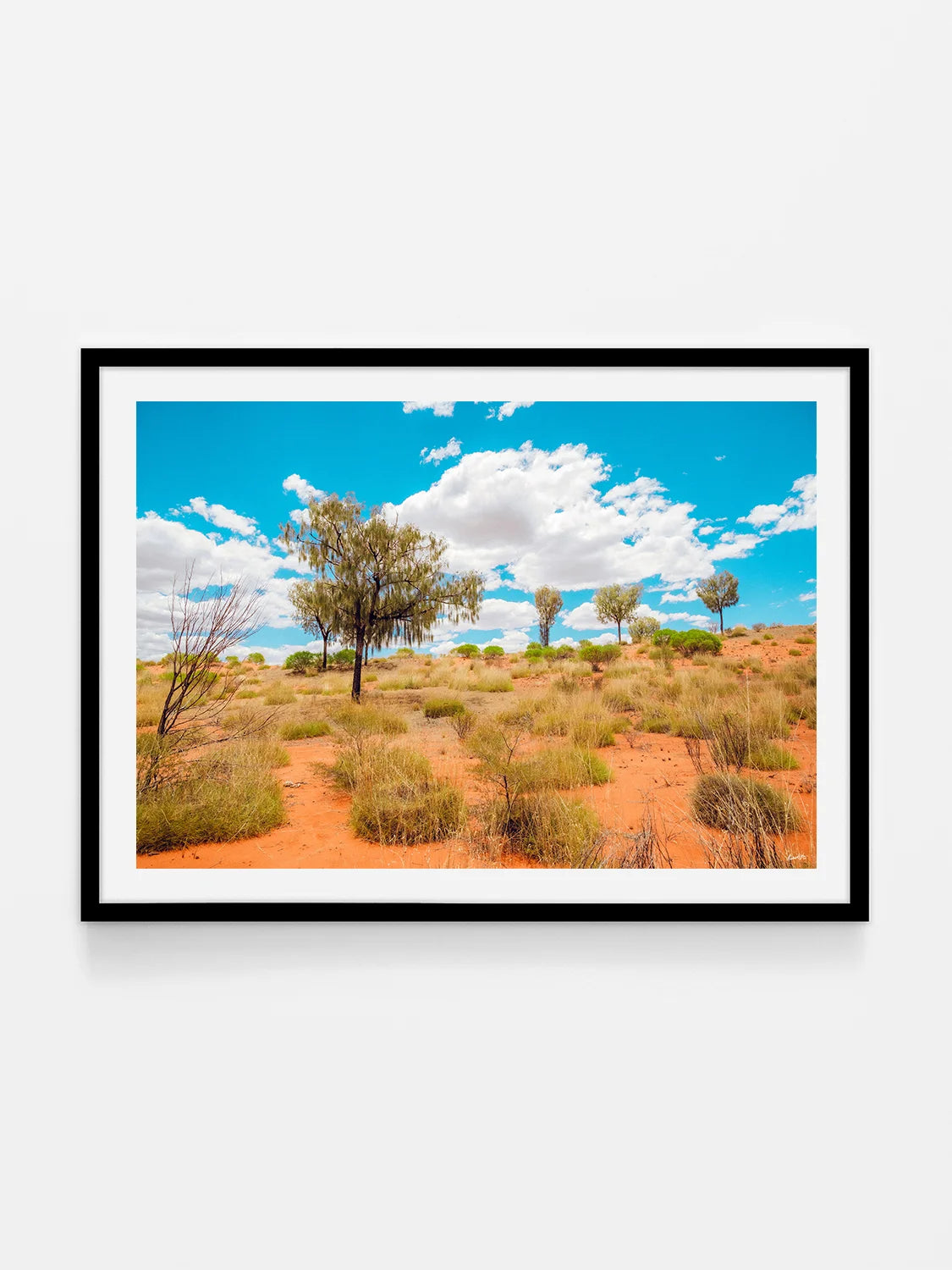 Lasseter Highway Spinifex, Trees and Dunes Landscape