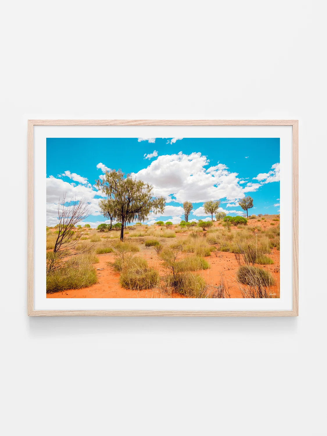 Lasseter Highway Spinifex, Trees and Dunes Landscape