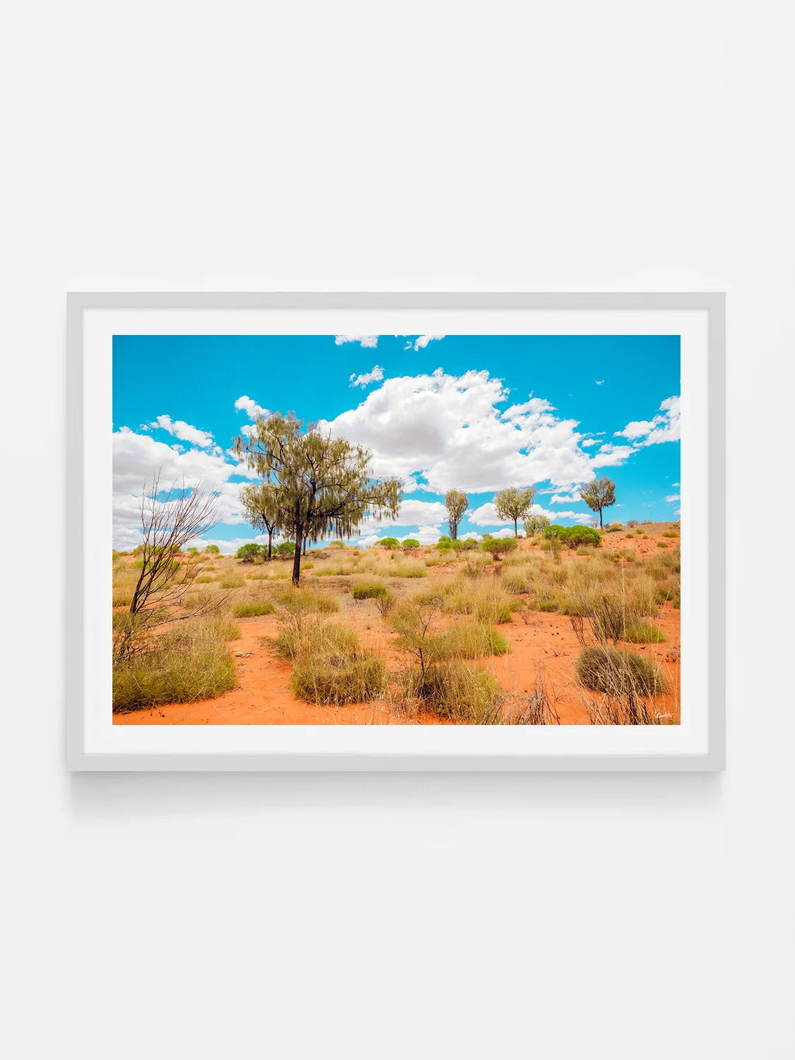 Lasseter Highway Spinifex, Trees and Dunes Landscape