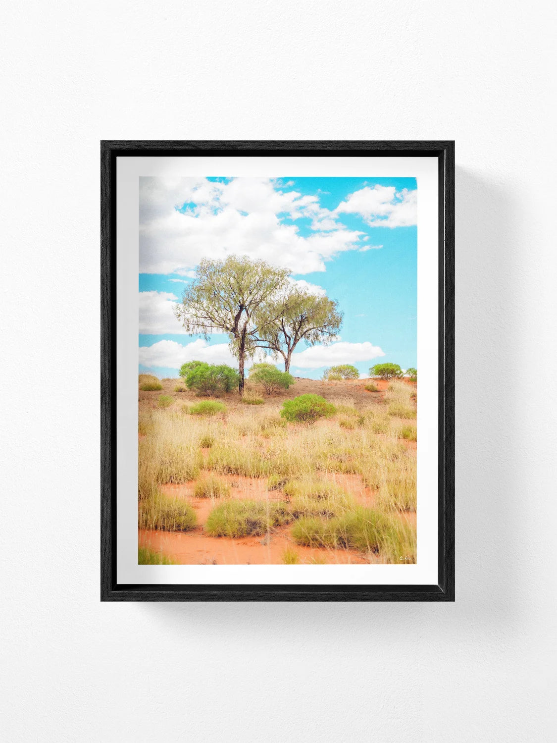 Lasseter Highway Spinifex, Trees and Dunes Portrait