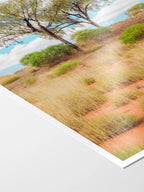 Lasseter Highway Spinifex, Trees and Dunes Portrait