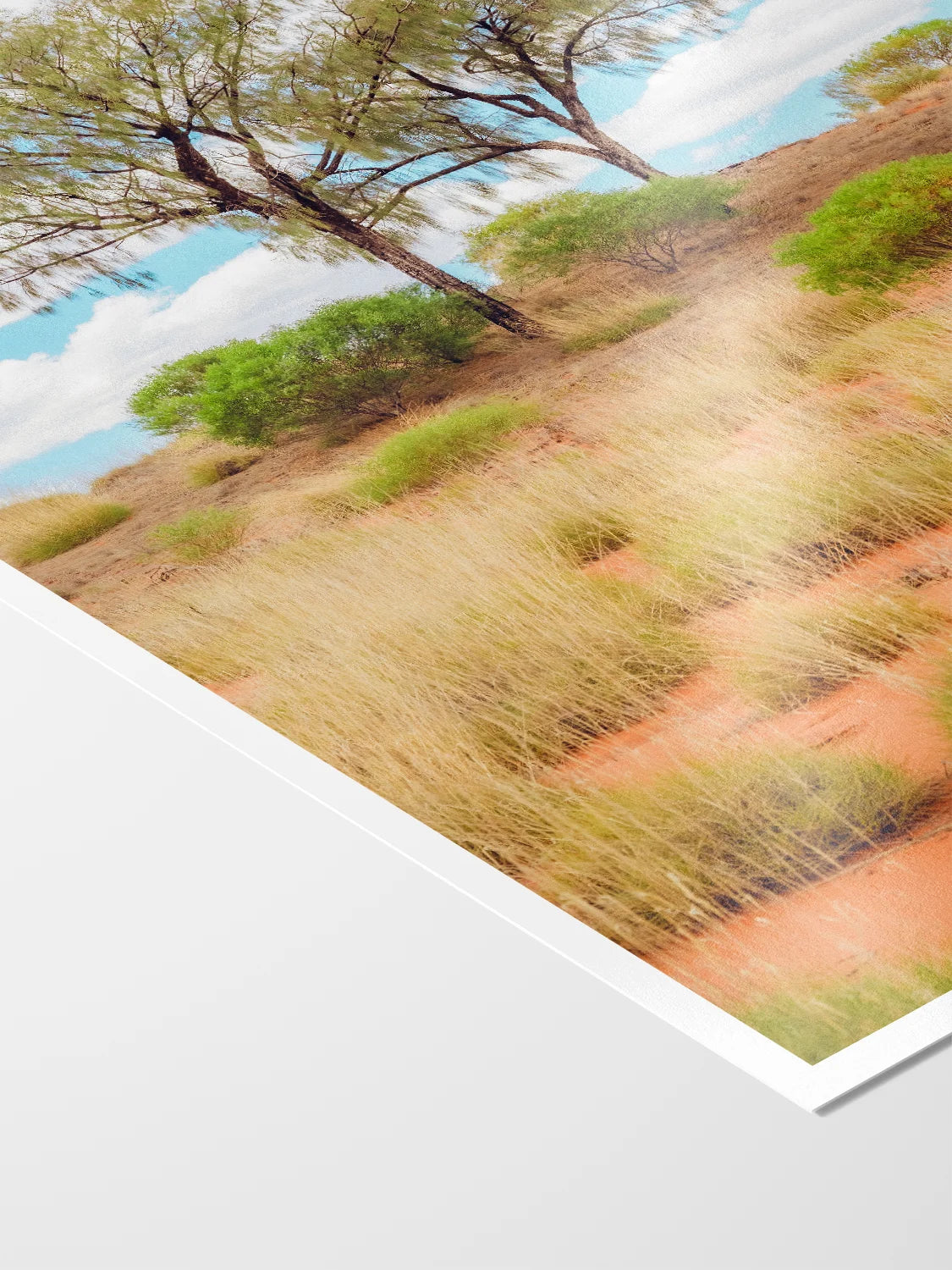 Lasseter Highway Spinifex, Trees and Dunes Portrait