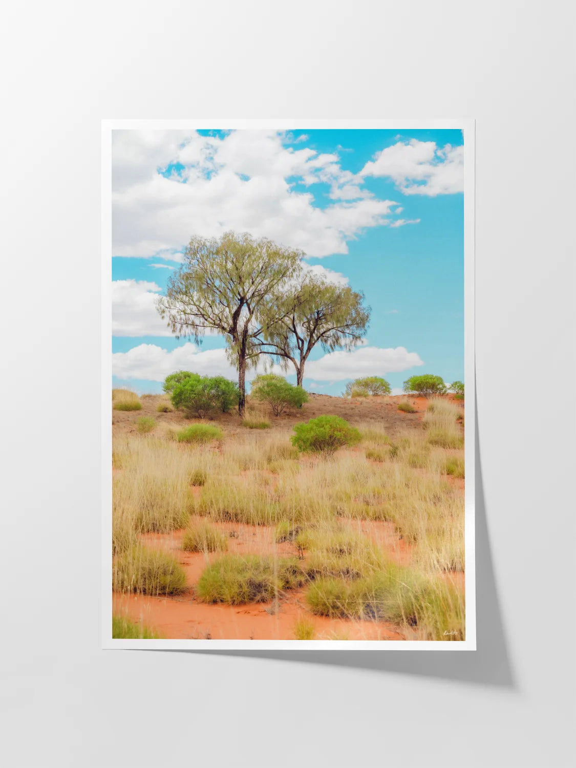 Lasseter Highway Spinifex, Trees and Dunes Portrait