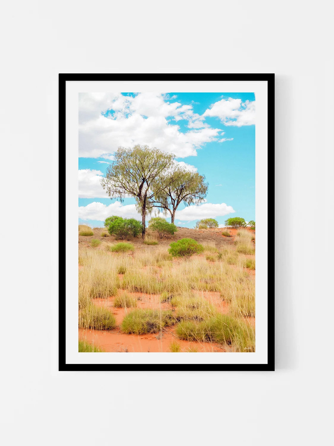 Lasseter Highway Spinifex, Trees and Dunes Portrait