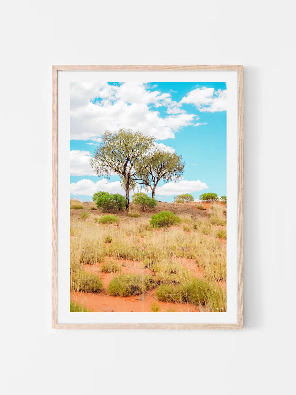 Lasseter Highway Spinifex, Trees and Dunes Portrait