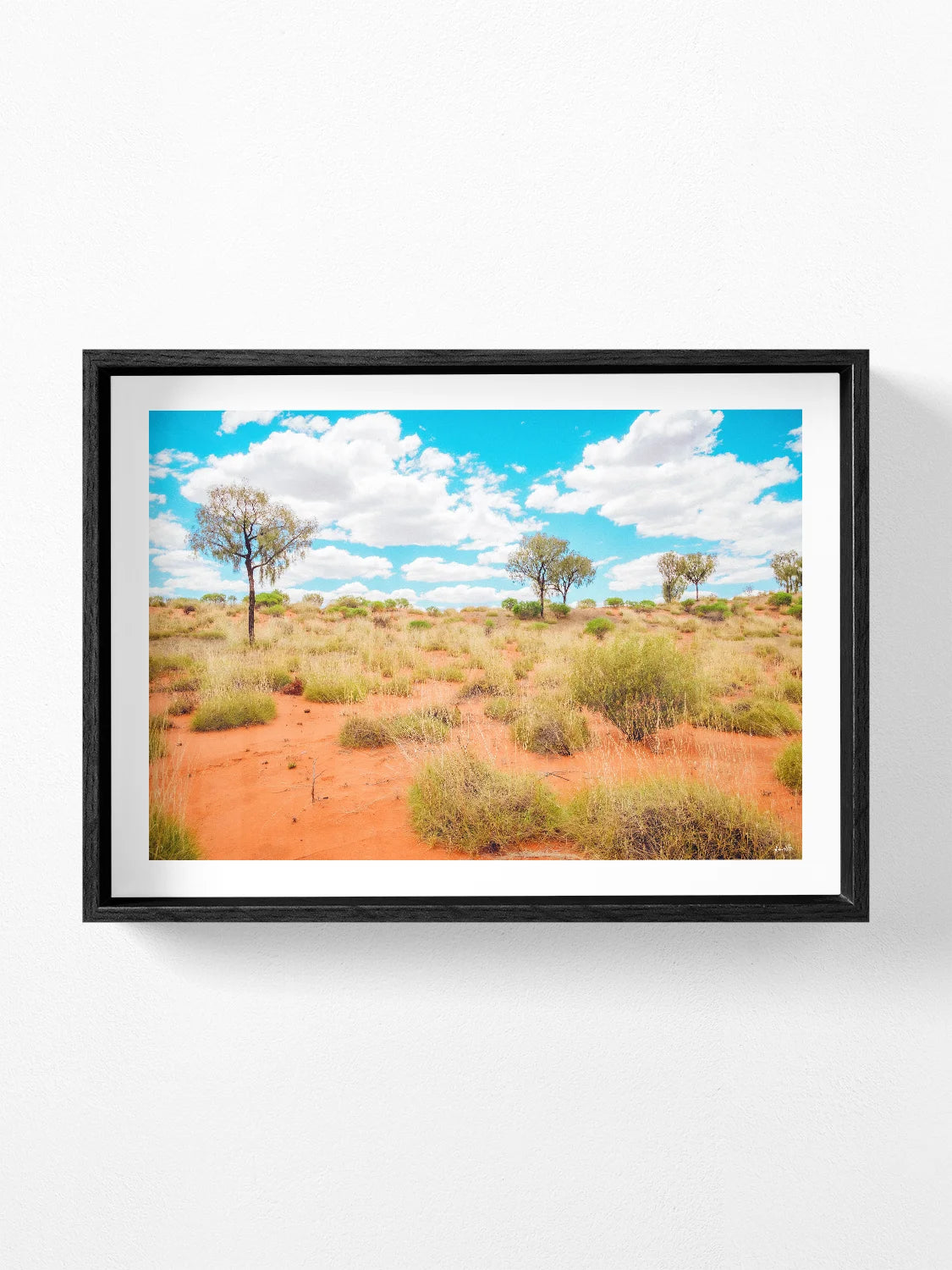 Lasseter Highway Spinifex on Red Sand Landscape
