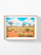 Lasseter Highway Spinifex on Red Sand Landscape