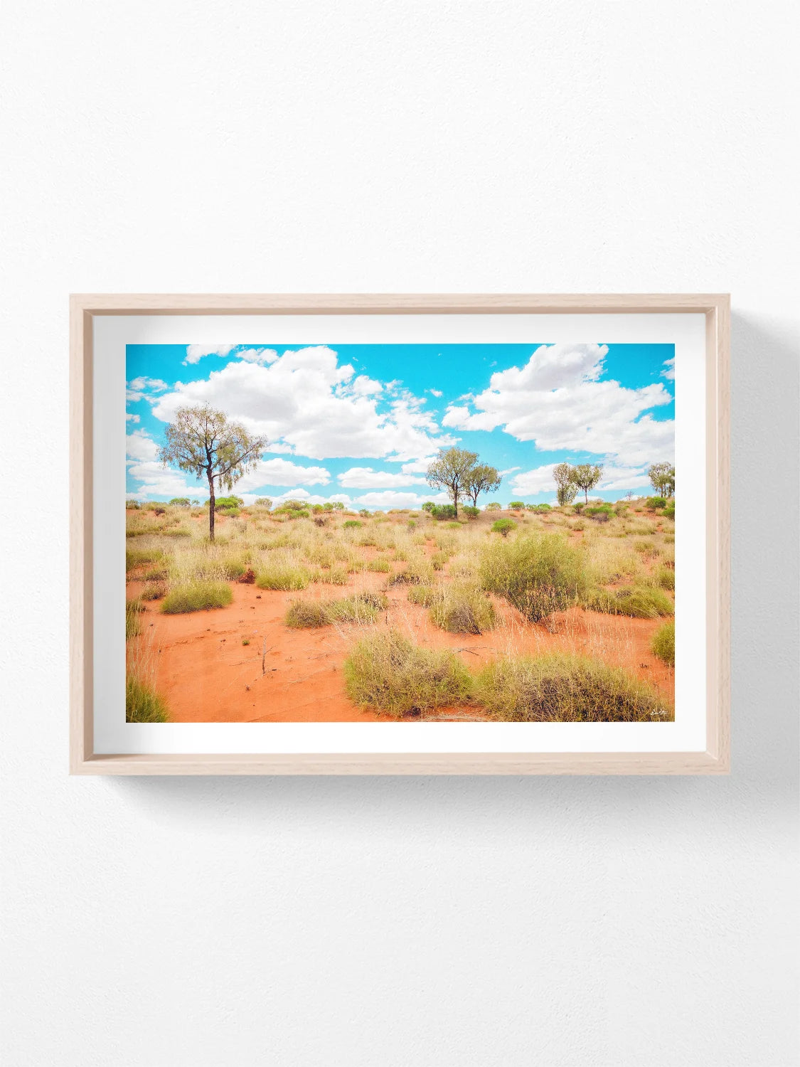 Lasseter Highway Spinifex on Red Sand Landscape