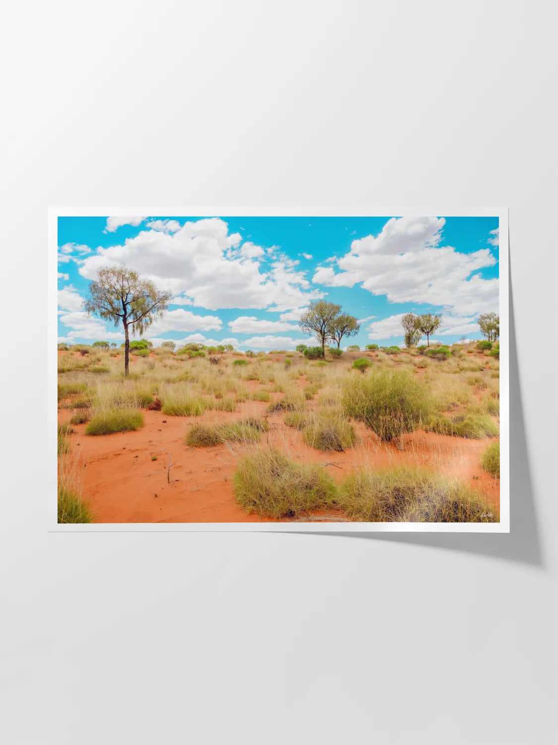 Lasseter Highway Spinifex on Red Sand Landscape