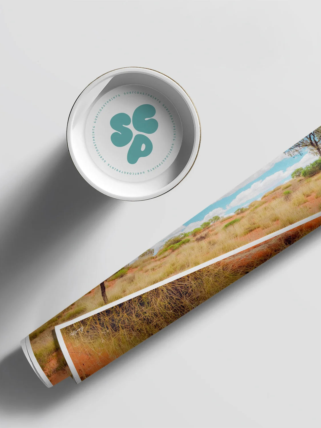 Lasseter Highway Spinifex on Red Sand Landscape