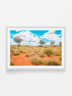 Lasseter Highway Spinifex on Red Sand Landscape
