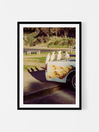Lorne Cockatoos, Corellas and Cars