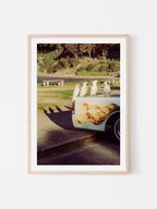 Lorne Cockatoos, Corellas and Cars