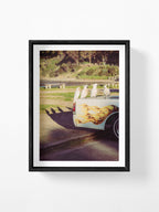 Lorne Cockatoos, Corellas and Cars