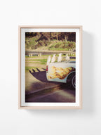 Lorne Cockatoos, Corellas and Cars