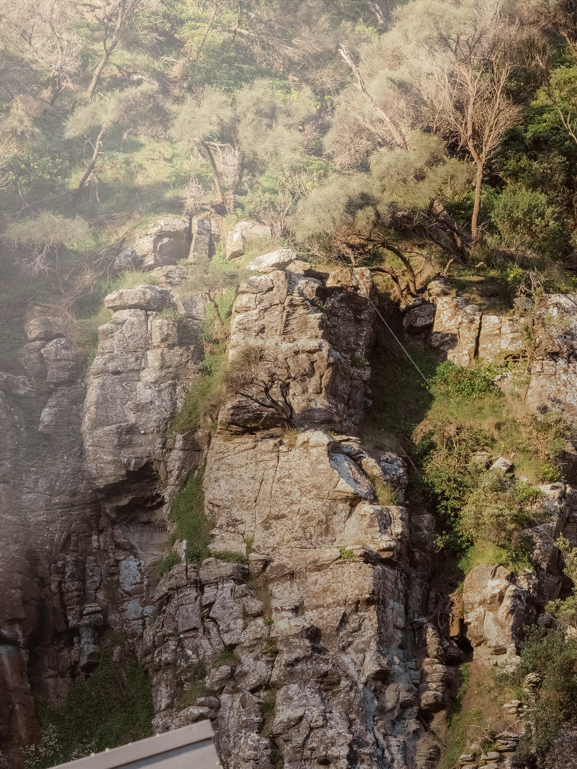 Cumberland River Rock Gorge Wall in Shadow (Landscape)