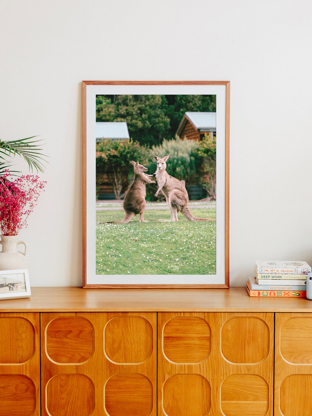 Cumberland River Holiday Park Kangaroos