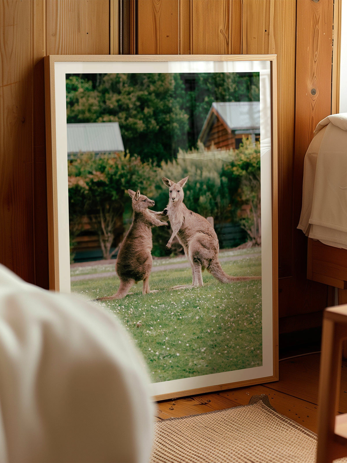 Cumberland River Holiday Park Kangaroos