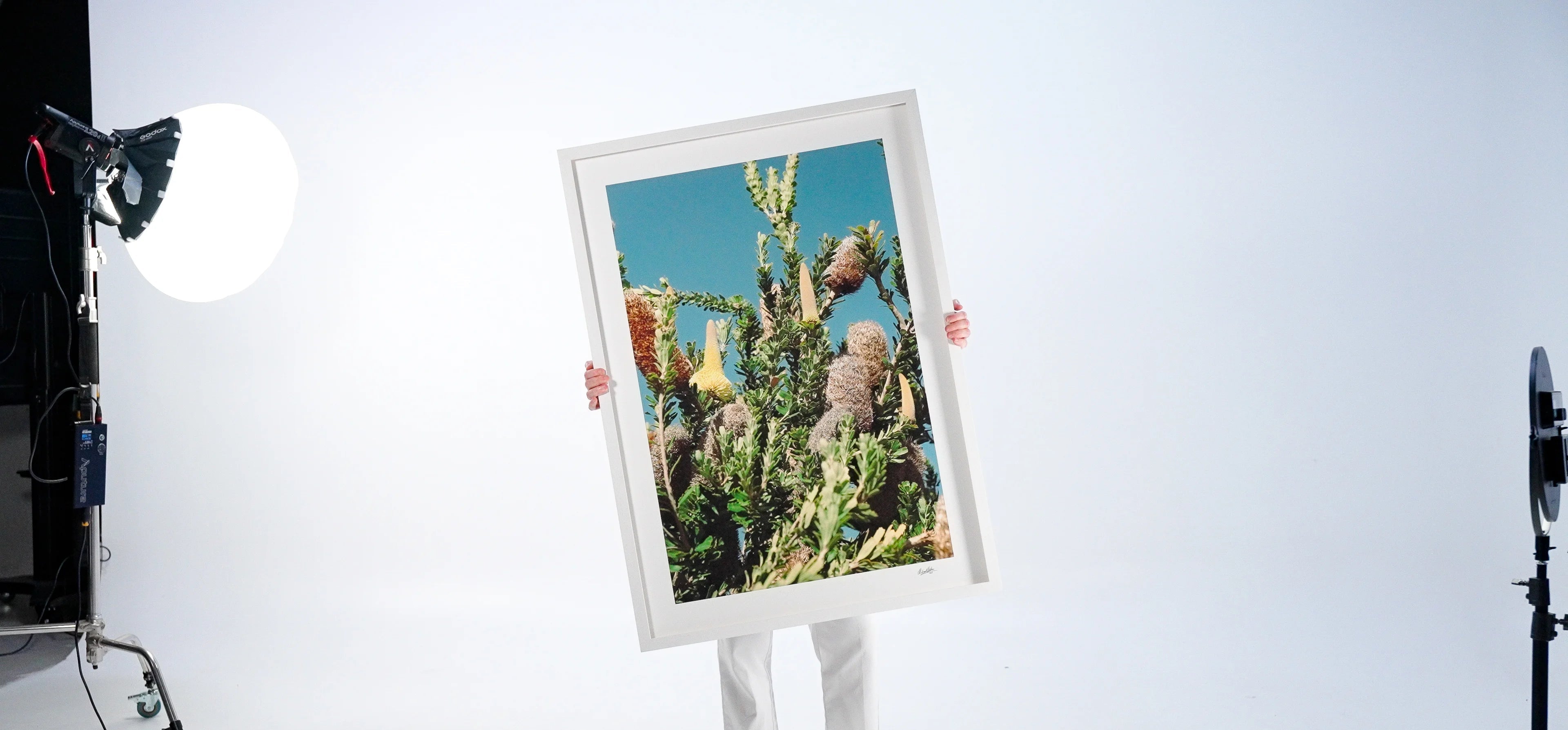 Person holding a framed picture of cacti in a studio setting with lighting equipment.