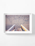 Moggs Creek Beach Stairs
