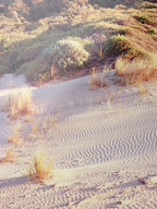 Moggs Creek Ripples in Sand