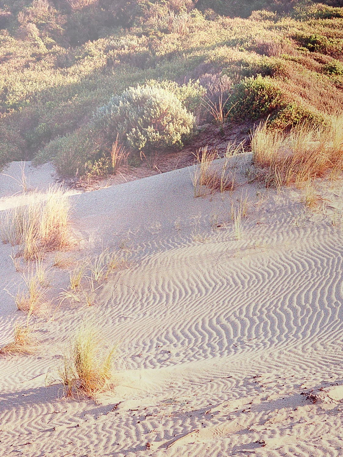 Moggs Creek Ripples in Sand