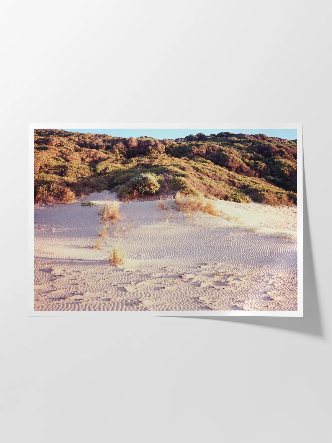 Moggs Creek Ripples in Sand