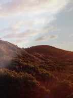 Moggs Creek Beach at Sunrise