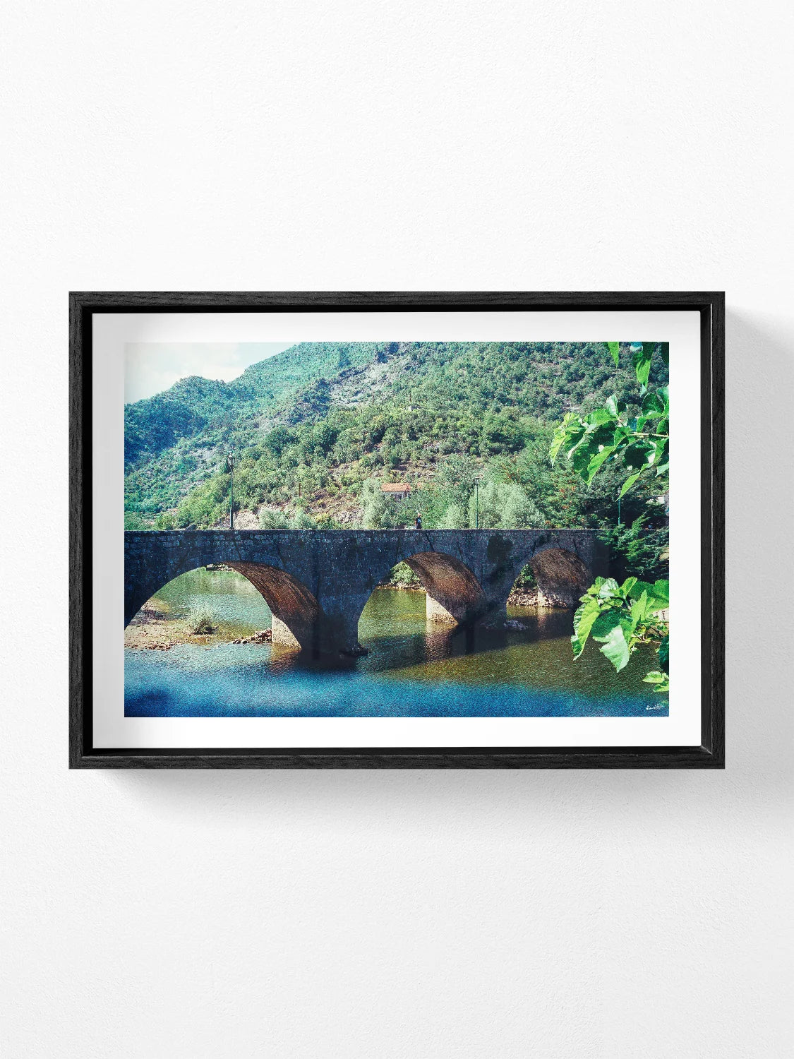Montenegro Arched Bridge Over River