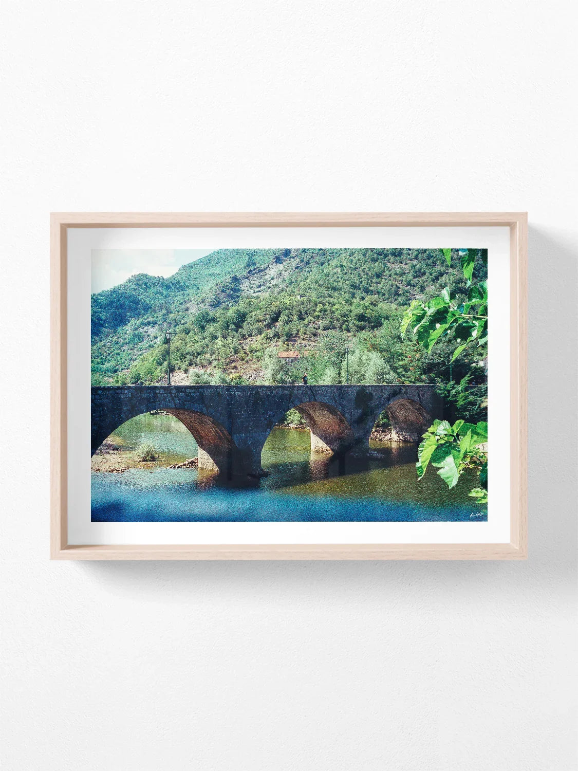 Montenegro Arched Bridge Over River