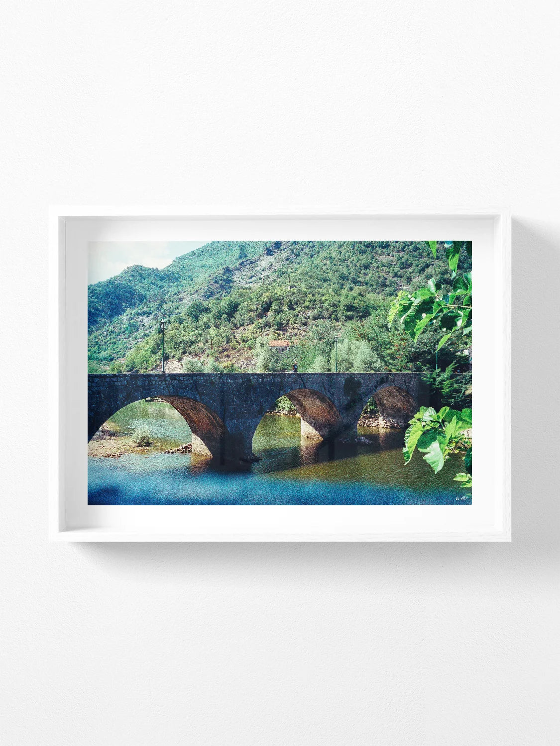 Montenegro Arched Bridge Over River