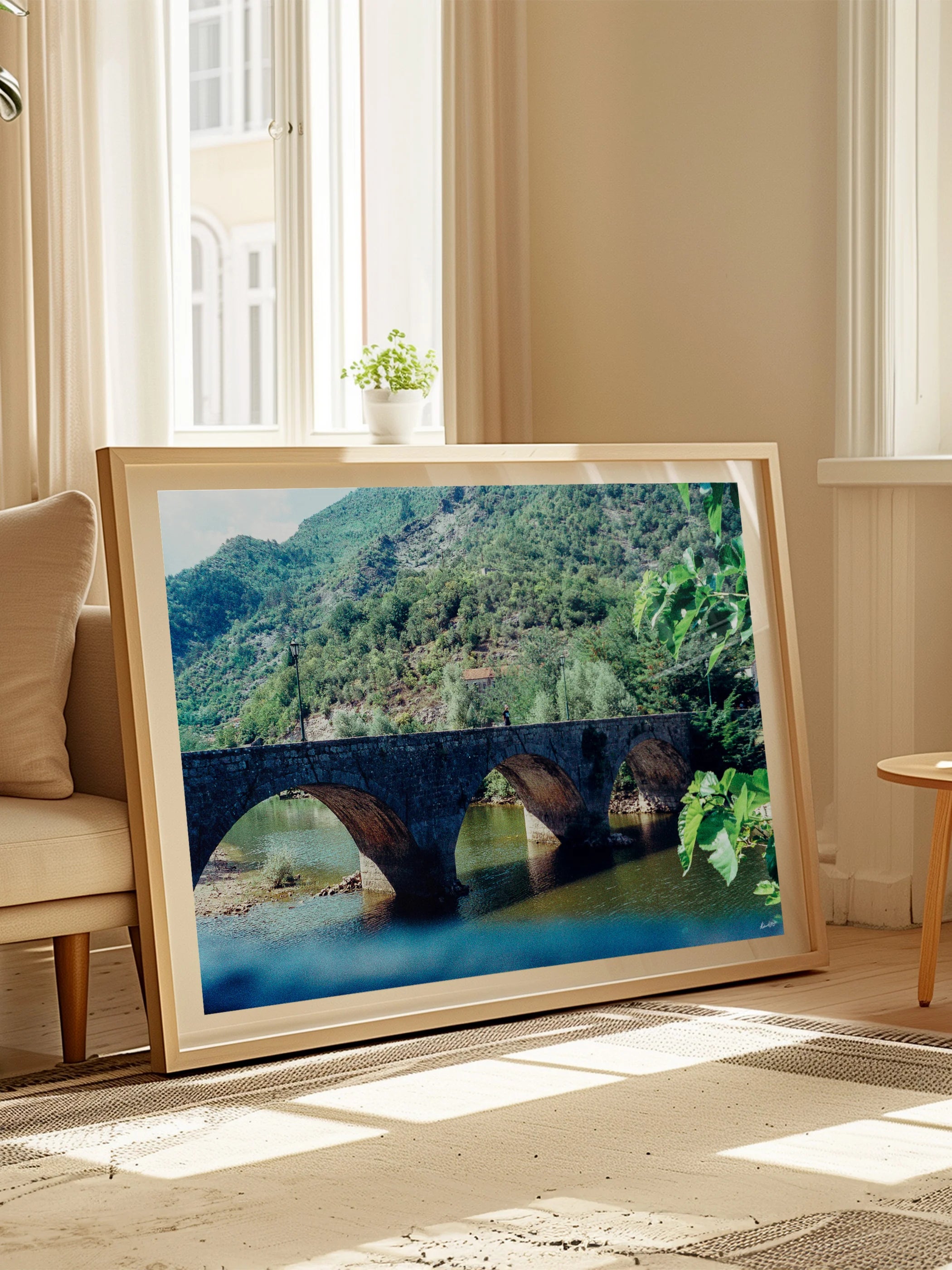 Montenegro Arched Bridge Over River