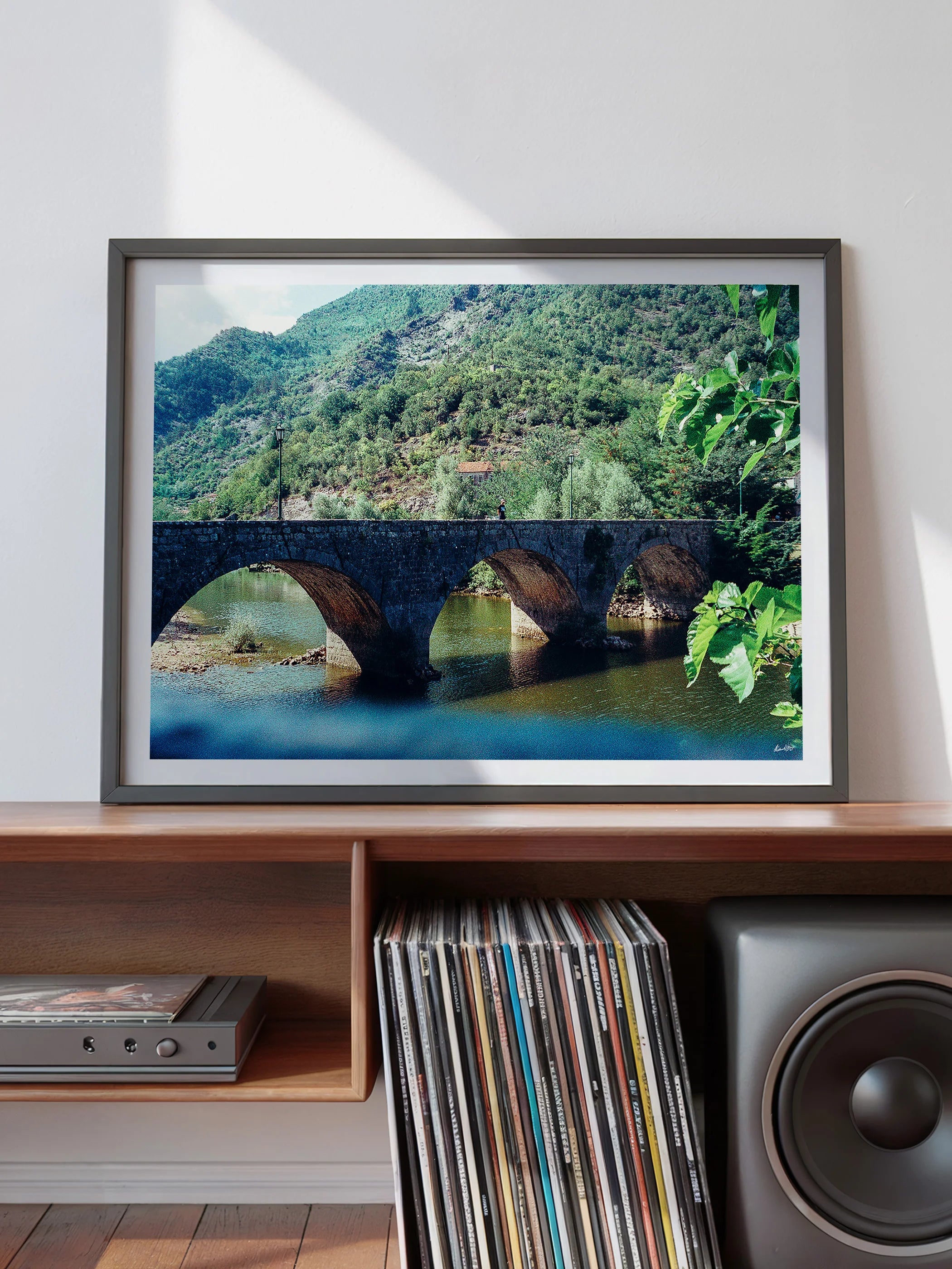Montenegro Arched Bridge Over River