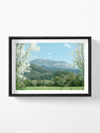 Mount Buffalo Spring View from Porpunkah