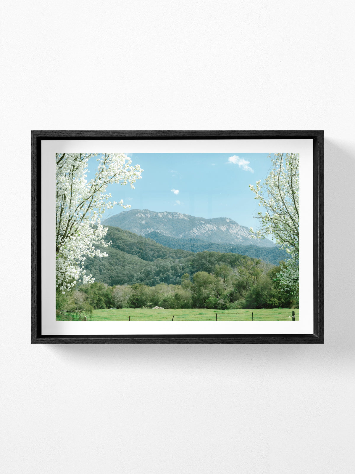 Mount Buffalo Spring View from Porpunkah