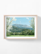 Mount Buffalo Spring View from Porpunkah