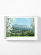Mount Buffalo Spring View from Porpunkah