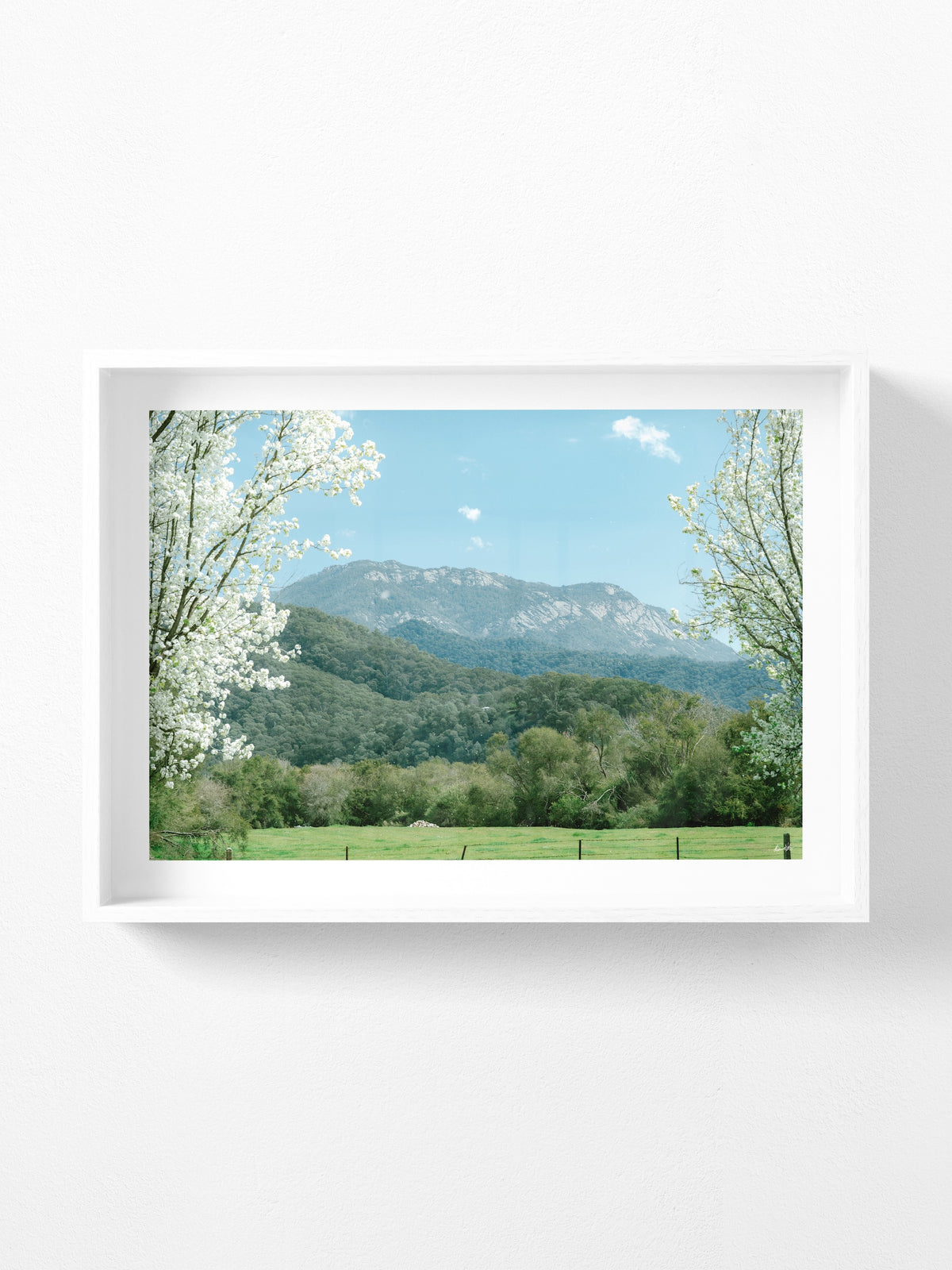 Mount Buffalo Spring View from Porpunkah