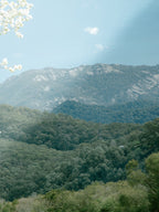 Mount Buffalo Spring View from Porpunkah