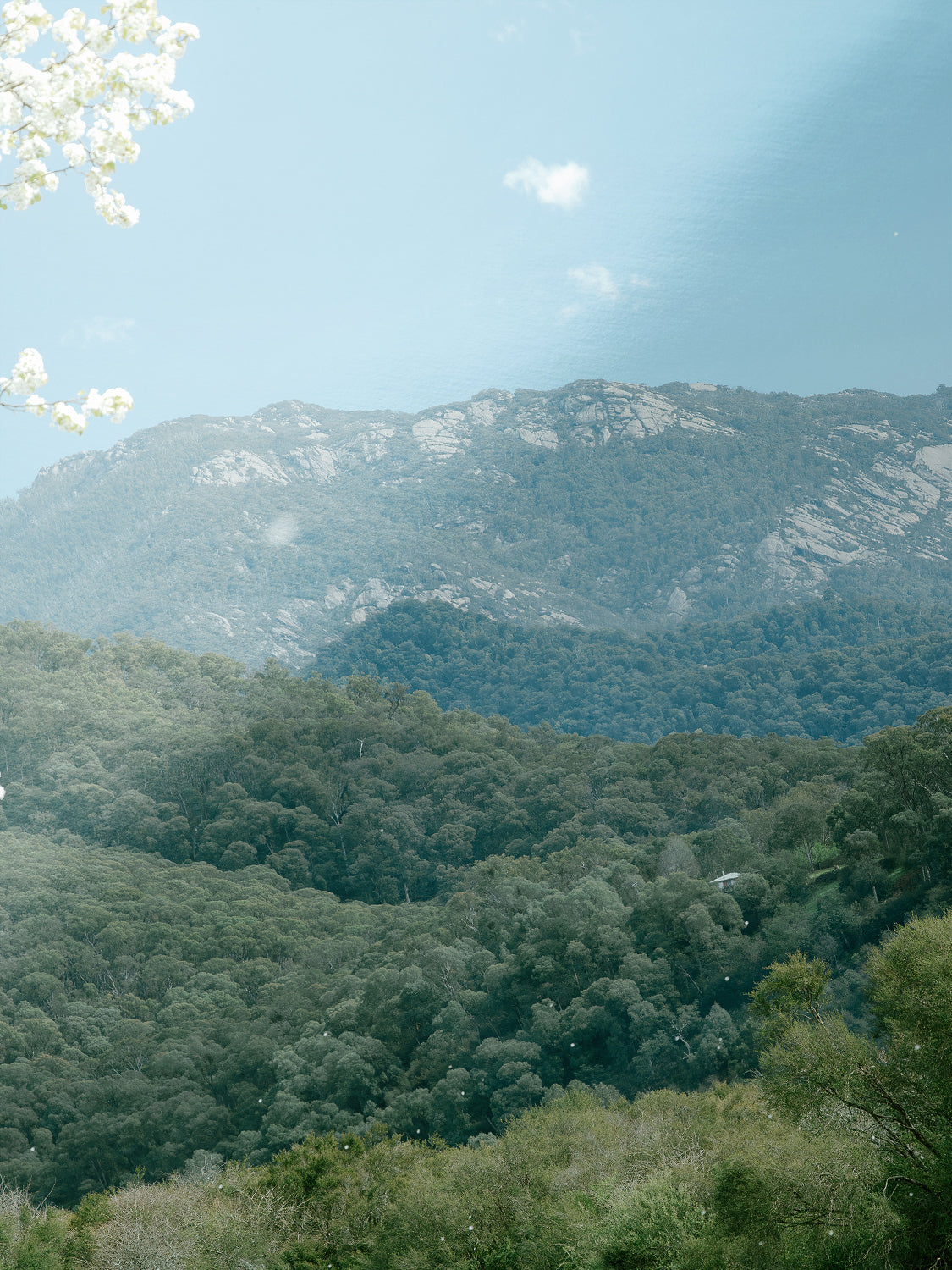 Mount Buffalo Spring View from Porpunkah