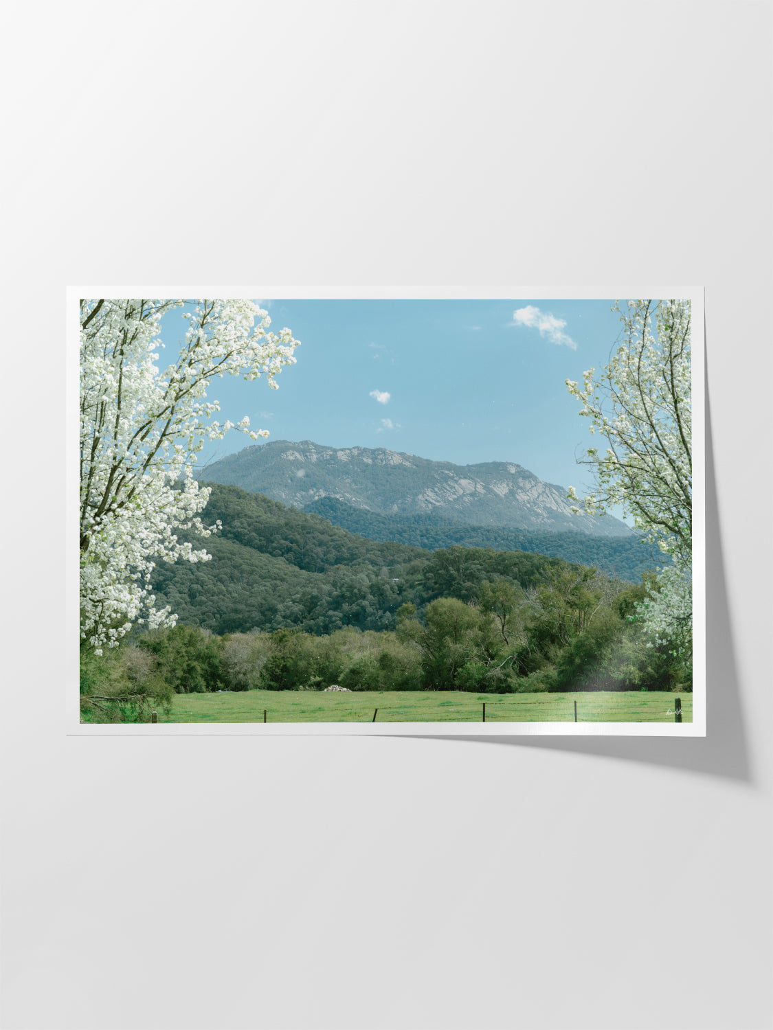 Mount Buffalo Spring View from Porpunkah