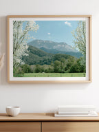 Mount Buffalo Spring View from Porpunkah