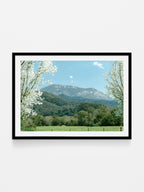 Mount Buffalo Spring View from Porpunkah