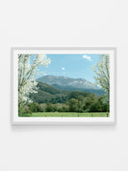 Mount Buffalo Spring View from Porpunkah