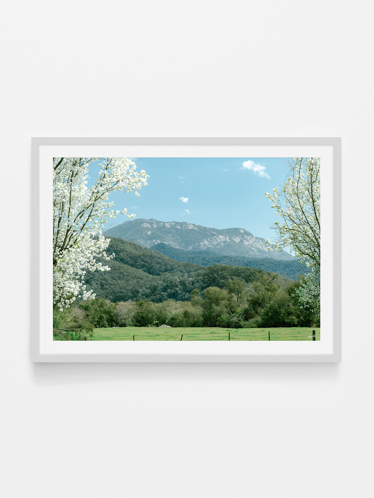 Mount Buffalo Spring View from Porpunkah