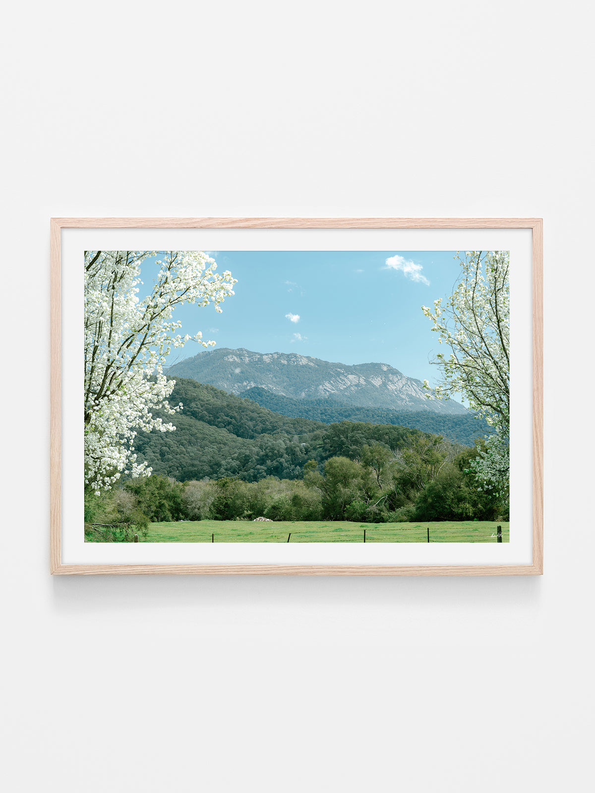 Mount Buffalo Spring View from Porpunkah