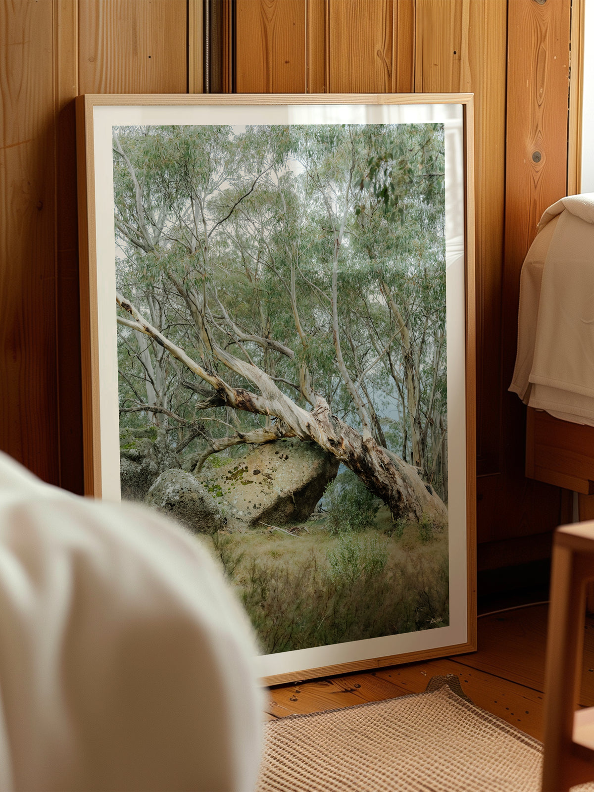 Mount Buffalo Summit Snow Gum