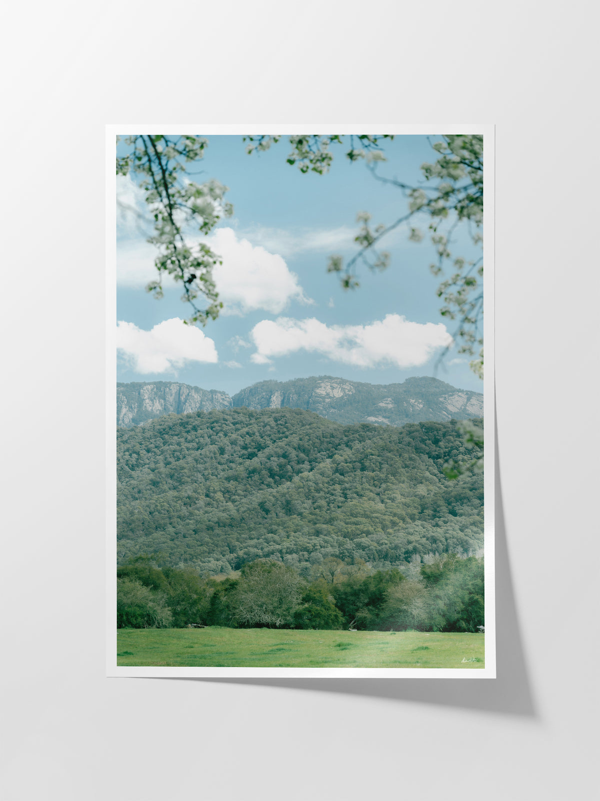 Mount Bufflalo in Spring Midday Sun