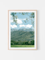 Mount Bufflalo in Spring Midday Sun