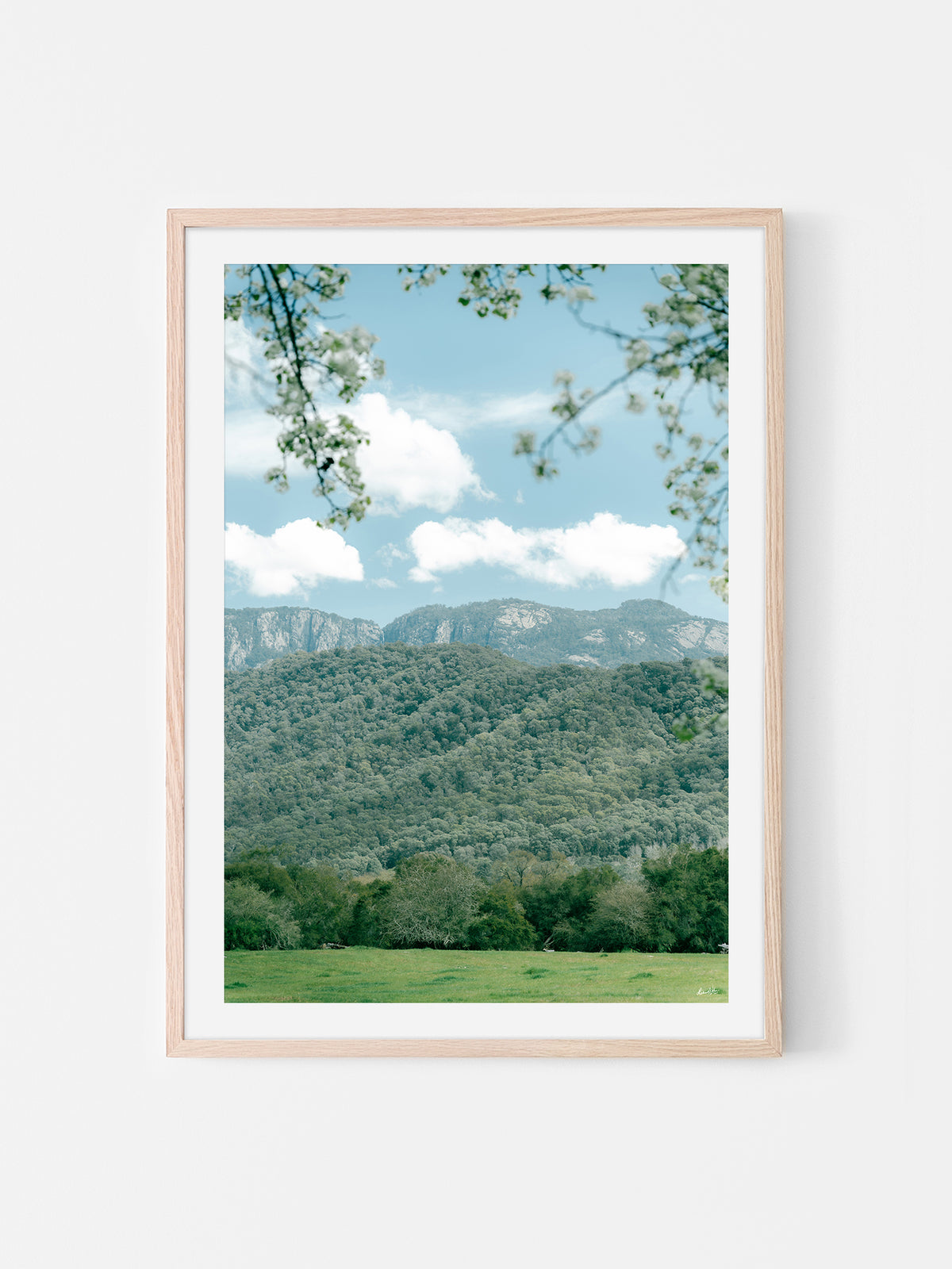 Mount Bufflalo in Spring Midday Sun